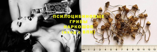 прущие крисы Алексин