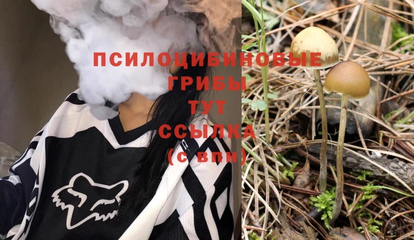 стаф Алексеевка