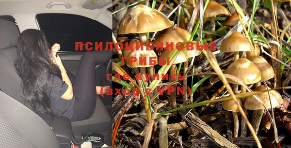 MESCALINE Абаза