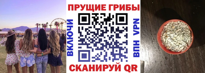 купить закладку  Ладушкин  Псилоцибиновые грибы мухоморы 